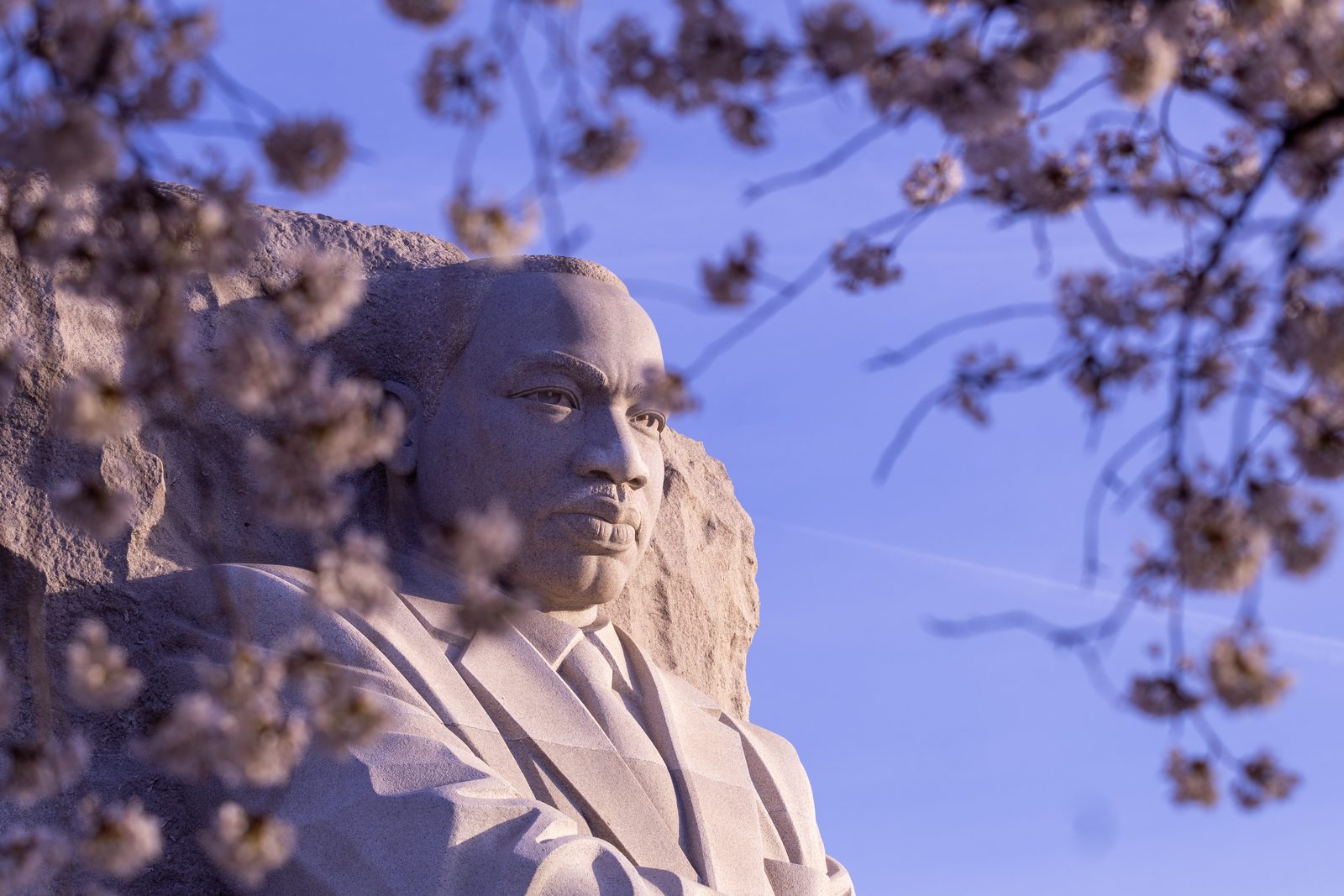 The Martin Luther King Jr. Memorial seen through soft cherry blossoms, blue sky behind.